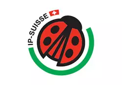 IP-Suisse